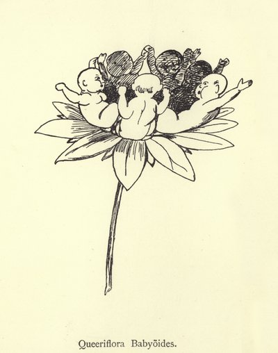 Queeriflora Babyoides door Edward Lear